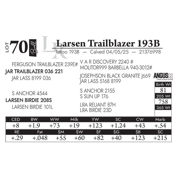 Larsen Trailblazer 193B