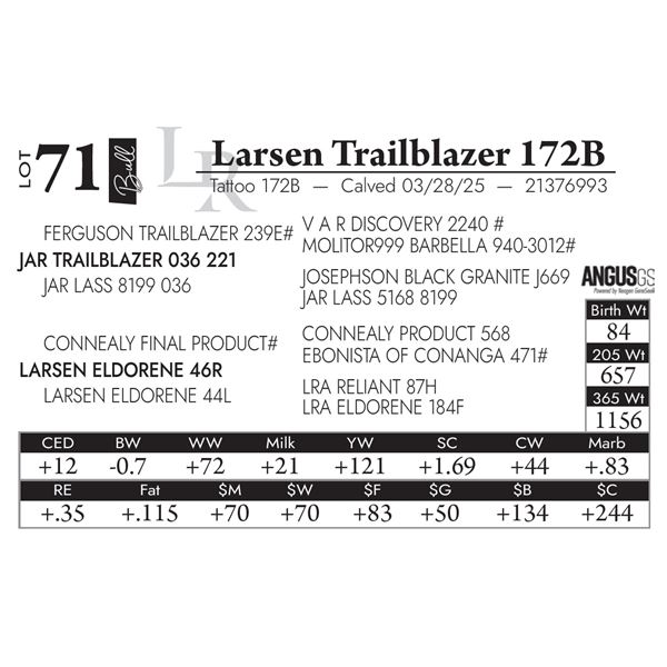 Larsen Trailblazer 172B