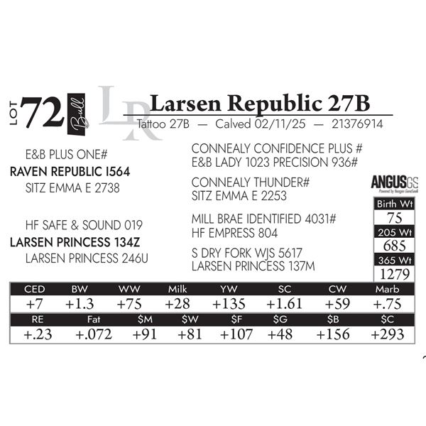 Larsen Republic 27B