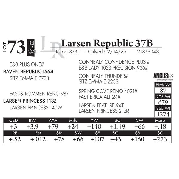 Larsen Republic 37B