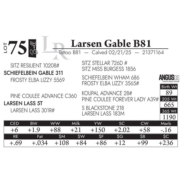 Larsen Gable B81