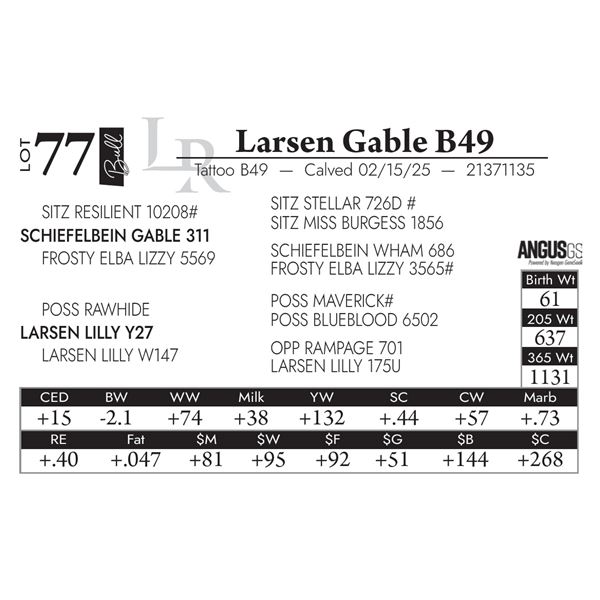 Larsen Gable B49