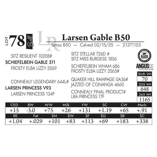 Larsen Gable B50
