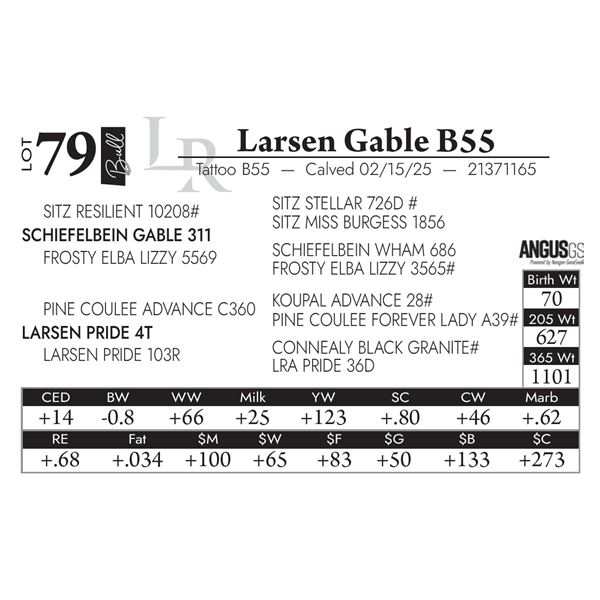 Larsen Gable B55
