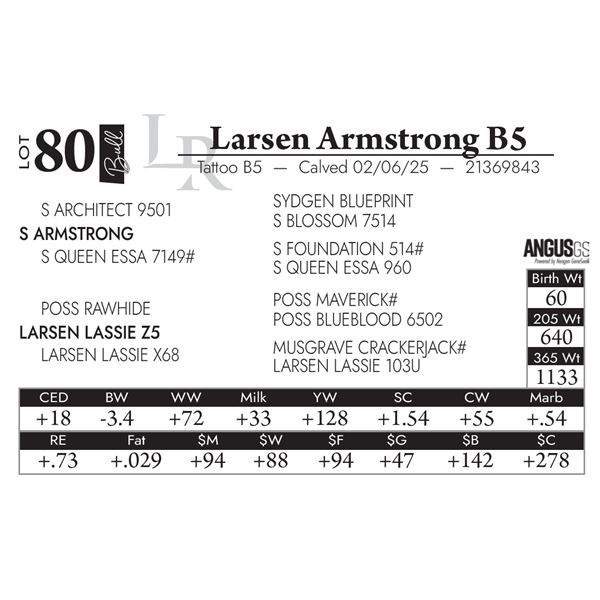 Larsen Armstrong B5