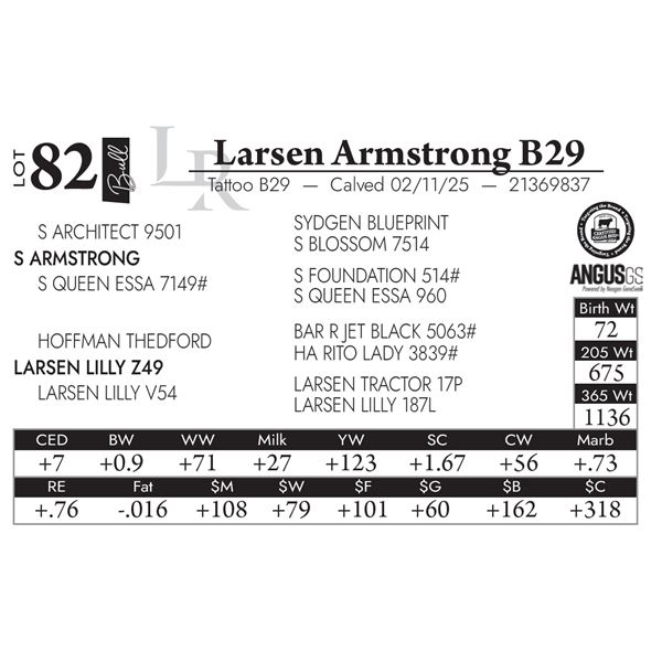 Larsen Armstrong B29