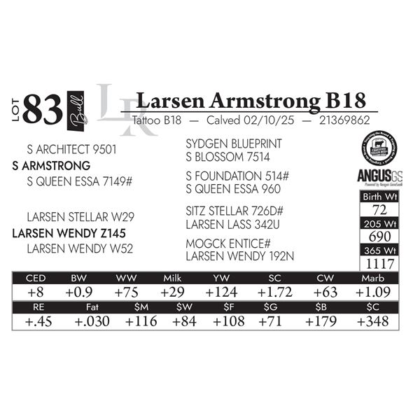 Larsen Armstrong B18