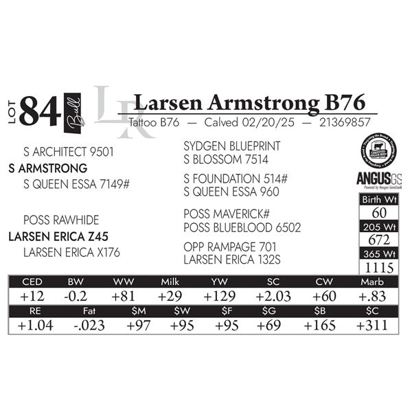 Larsen Armstrong B76