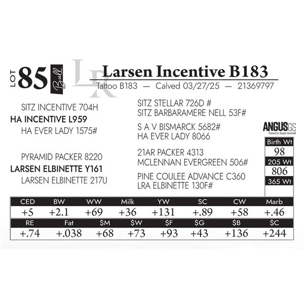Larsen Incentive B183