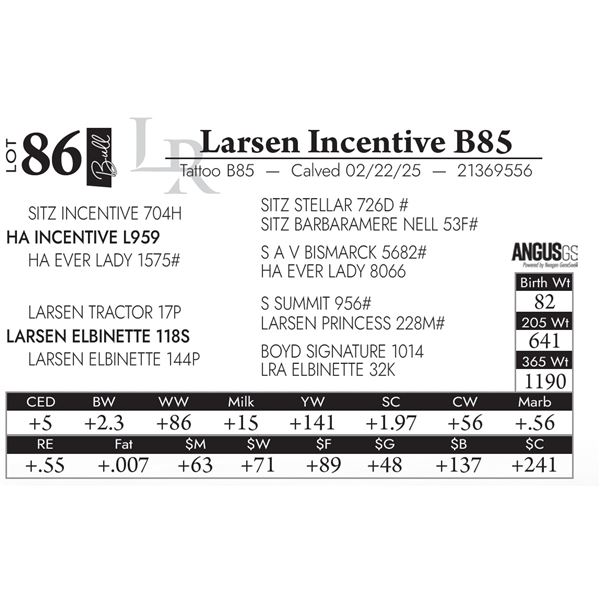Larsen Incentive B85