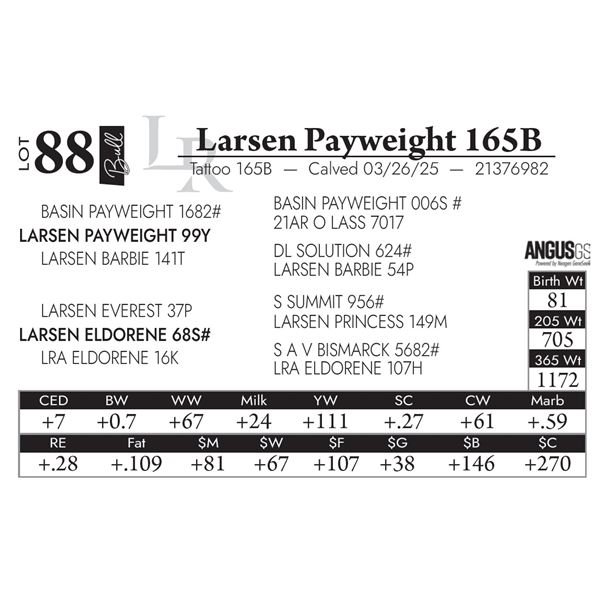 Larsen Payweight 165B