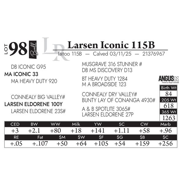 Larsen Iconic 115B