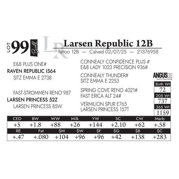 Larsen Republic 12B