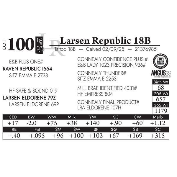 Larsen Republic 18B