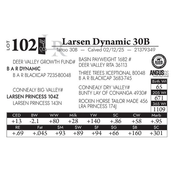 Larsen Dynamic 30B
