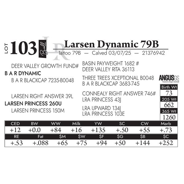 Larsen Dynamic 79B