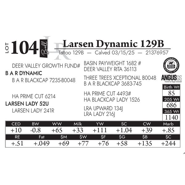 Larsen Dynamic 129B
