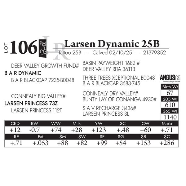Larsen Dynamic 25B