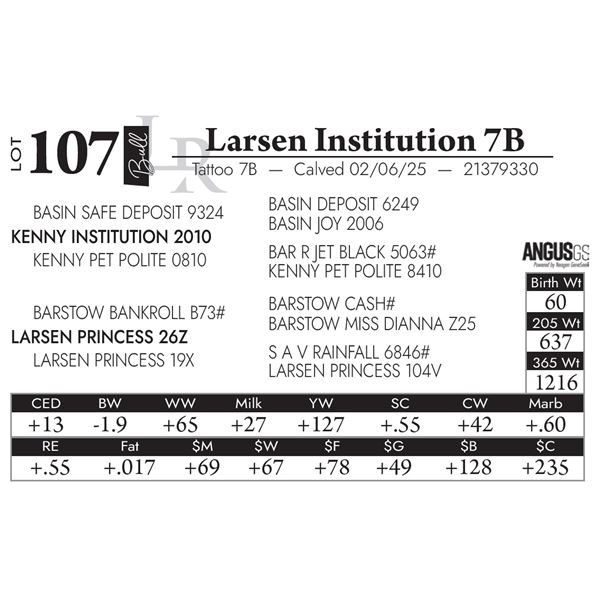 Larsen Institution 7B