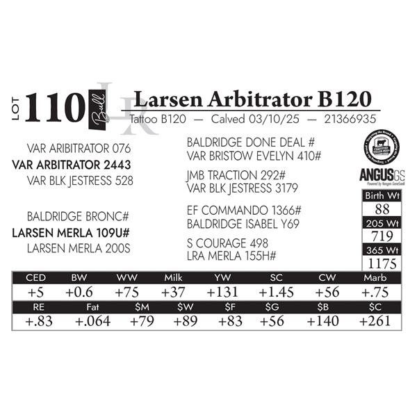 Larsen Arbitrator B120