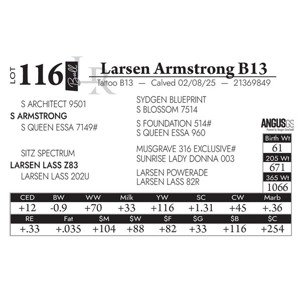 Larsen Armstrong B13
