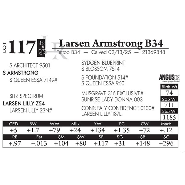 Larsen Armstrong B34