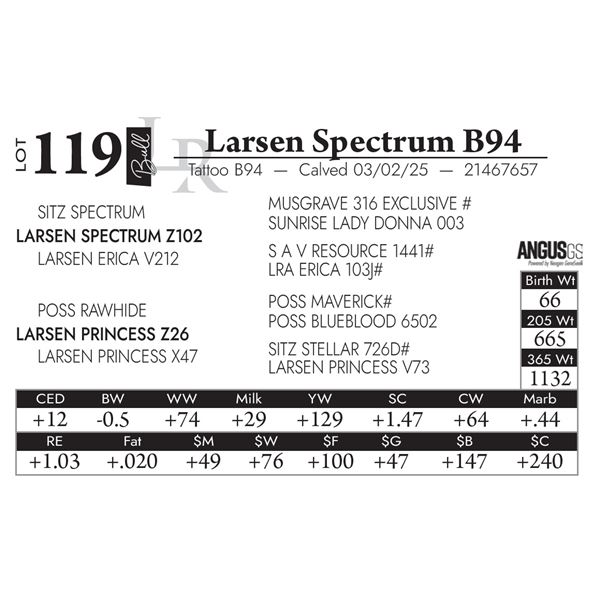 Larsen Spectrum B94