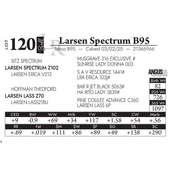 Larsen Spectrum B95