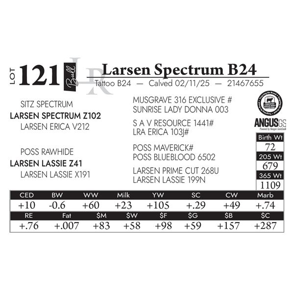 Larsen Spectrum B24