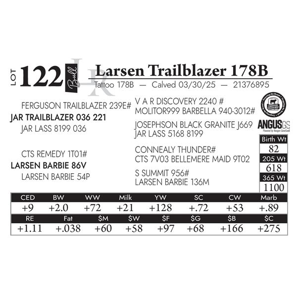 Larsen Trailblazer 178B