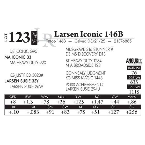 Larsen Iconic 146B