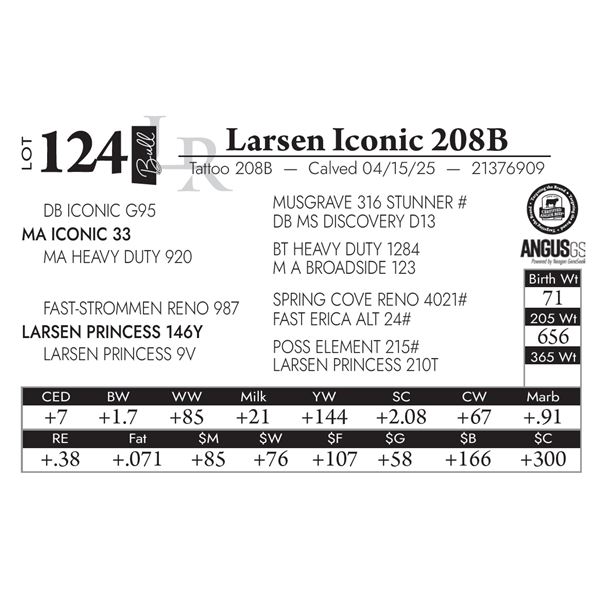 Larsen Iconic 208B