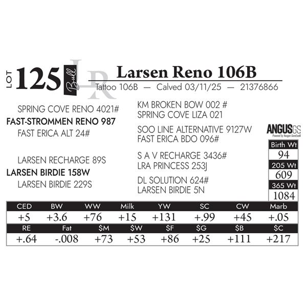 Larsen Reno 106B