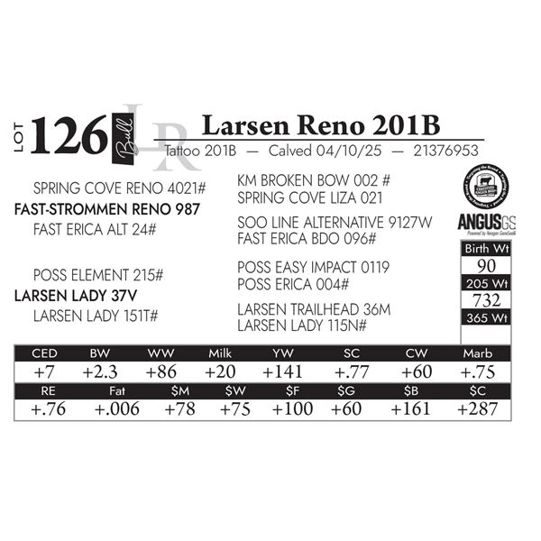 Larsen Reno 201B