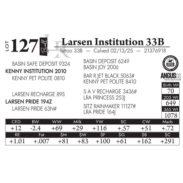 Larsen Institution 33B