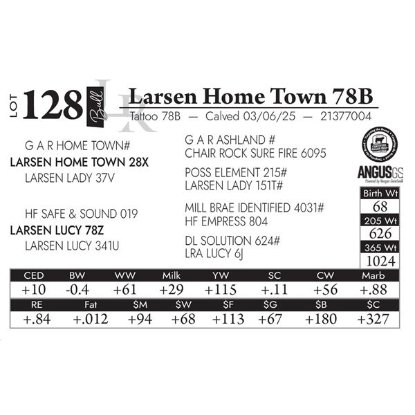 Larsen Home Town 78B