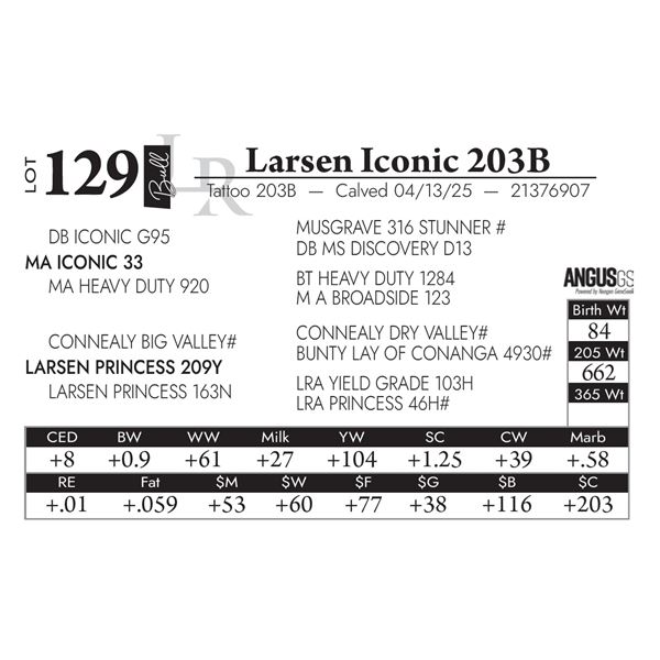 Larsen Iconic 203B