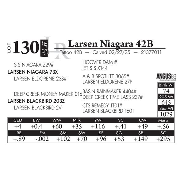 Larsen Niagara 42B