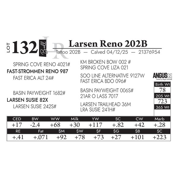 Larsen Reno 202B