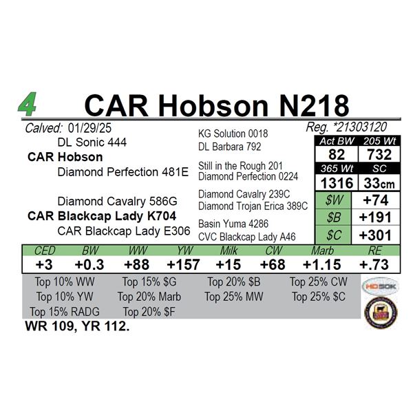 CAR Hobson N218