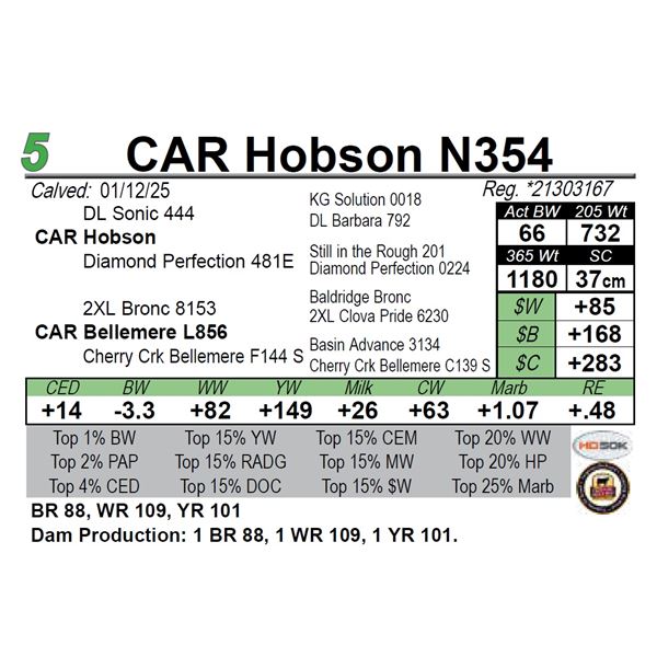 CAR Hobson N354