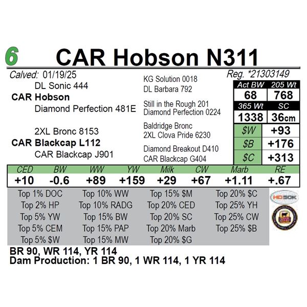 CAR Hobson N311