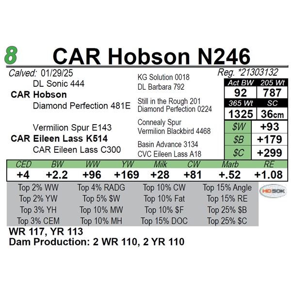 CAR Hobson N246