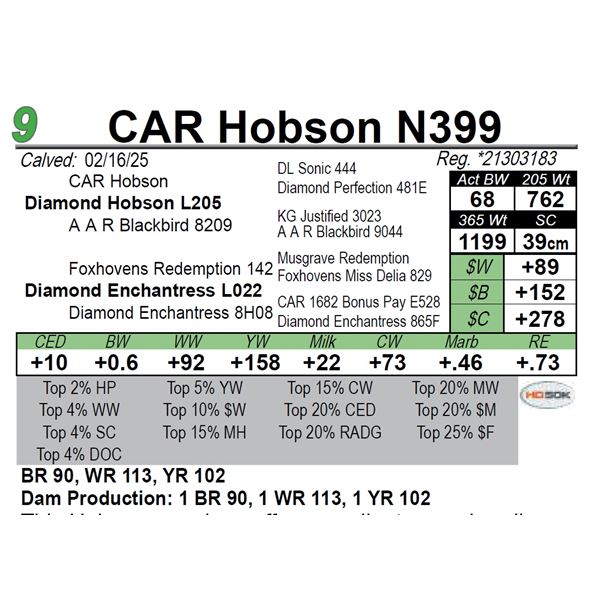 CAR Hobson N399