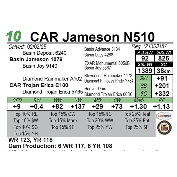 CAR Jameson N510