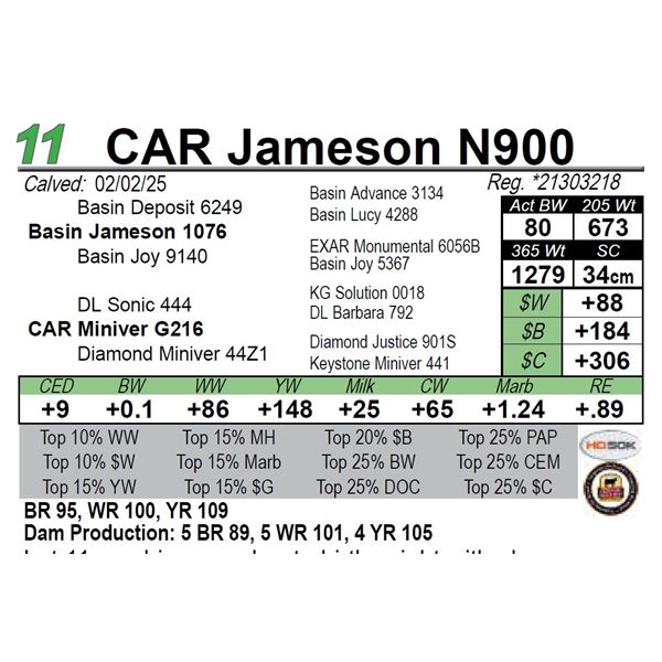 CAR Jameson N900