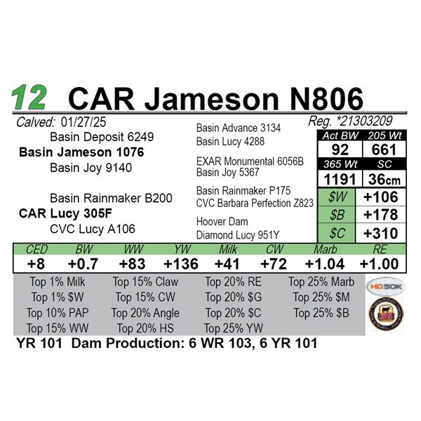 CAR Jameson N806