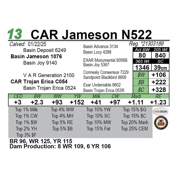 CAR Jameson N522