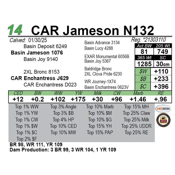 CAR Jameson N132