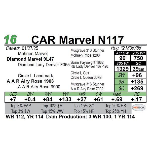CAR Marvel N117